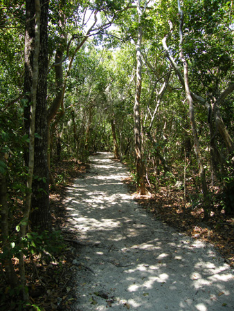 Windley  Key State Park