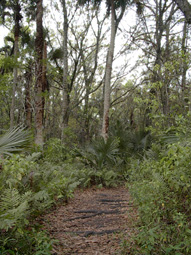 Prairie Overlook Trail