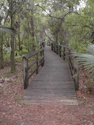 Prairie Overlook Boardwalk