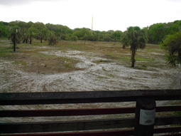 Open Prairie