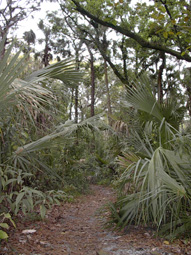 Back to Nature Center