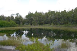 West Pond